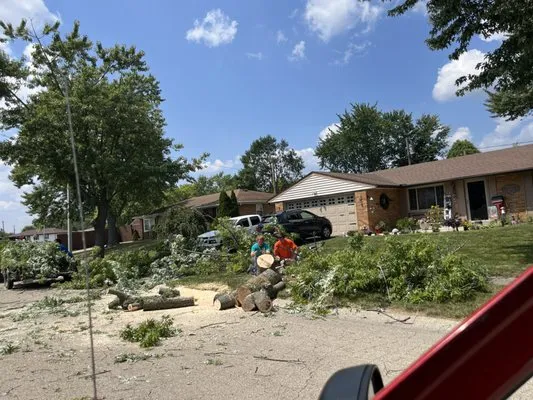 Natures Neighbors Property Maintenance Logo