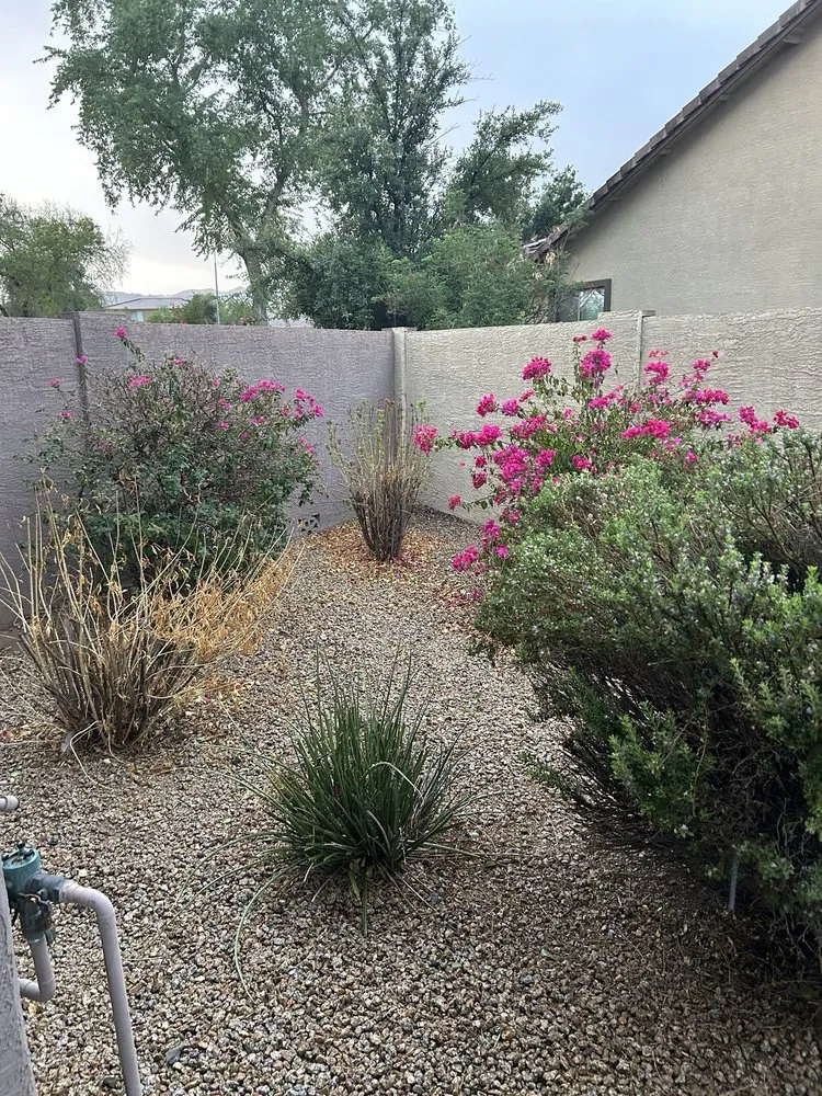 Custom outdoor landscaping with custom design in Phoenix, AZ by Nature’s Oasis Landscaping