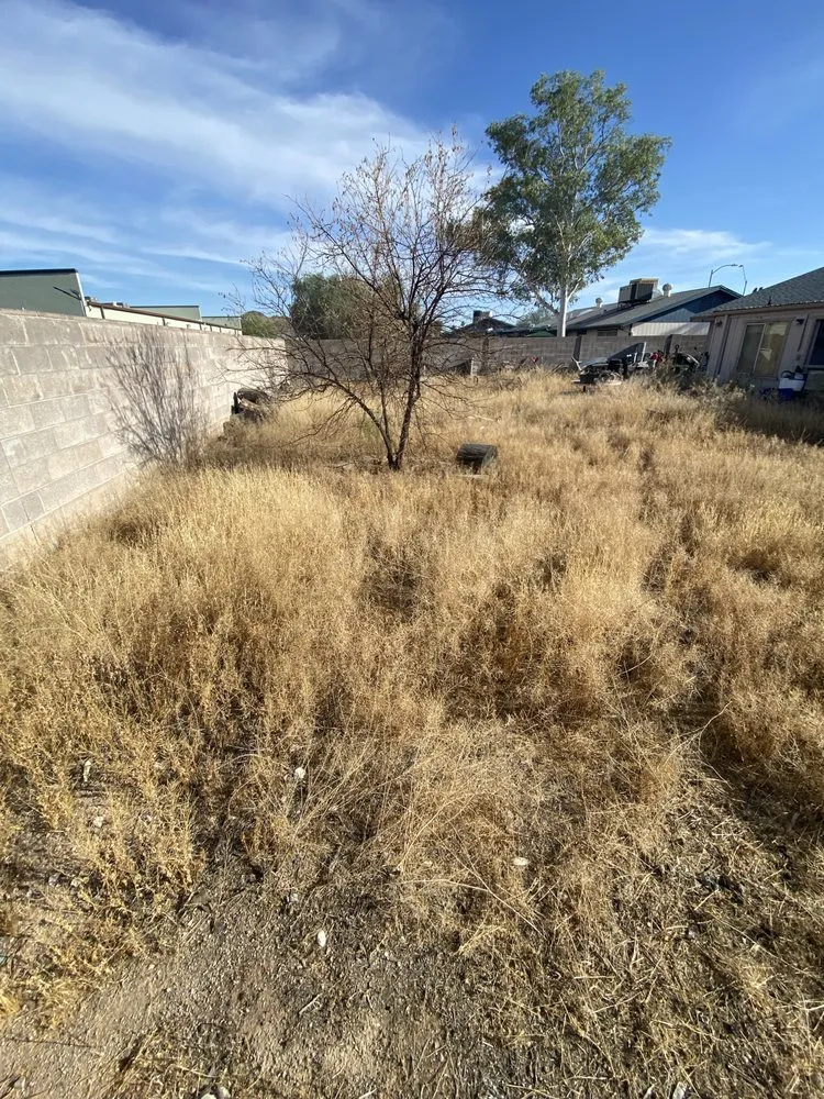 Expert landscaping services for homes in Phoenix, AZ by Nature’s Oasis Landscaping