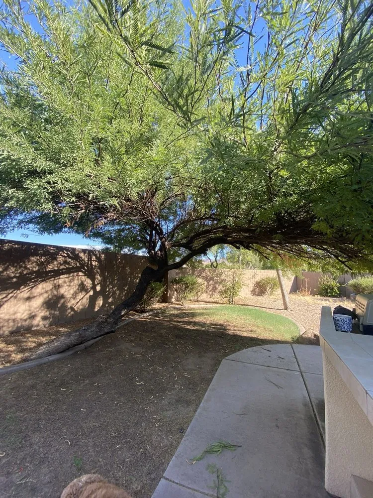 Local yard cleanup service in Phoenix, AZ by Nature’s Oasis Landscaping