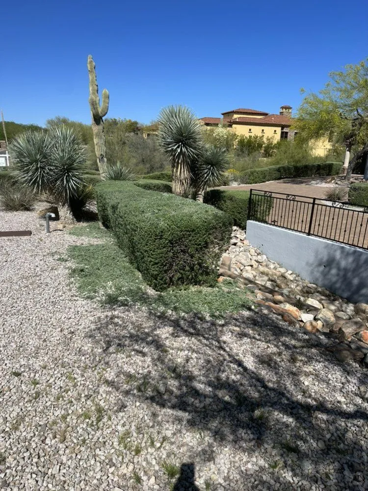 Local garden landscaping experts serving Phoenix, AZ - Nature’s Oasis Landscaping