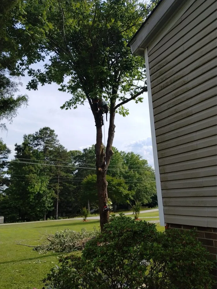 Expert lawn mowing service experts serving Archdale, NC - Natures Outdoor Pro’s