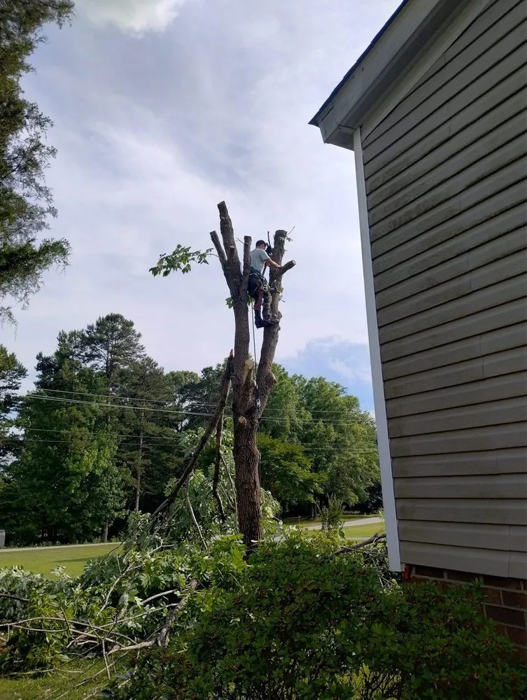 Reliable lawn care service for year-round maintenance in Archdale, NC by Natures Outdoor Pro’s