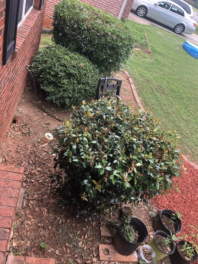Local outdoor landscaping in Snellville, GA by Nature's Own Landscape Solutions