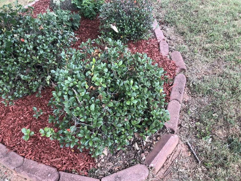 Local landscaping services experts serving Snellville, GA - Nature's Own Landscape Solutions