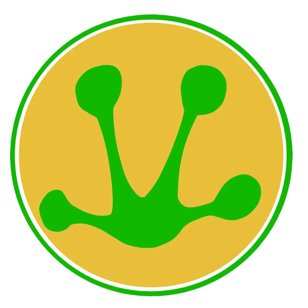 Custom landscaping services for outdoor upgrades in Snellville, GA by Nature's Own Landscape Solutions