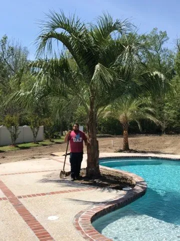 Expert outdoor landscaping with custom design in Baton Rouge, LA by Nature's Own Nursery