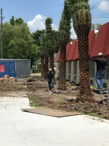 Professional landscaping services experts serving Baton Rouge, LA - Nature's Own Nursery