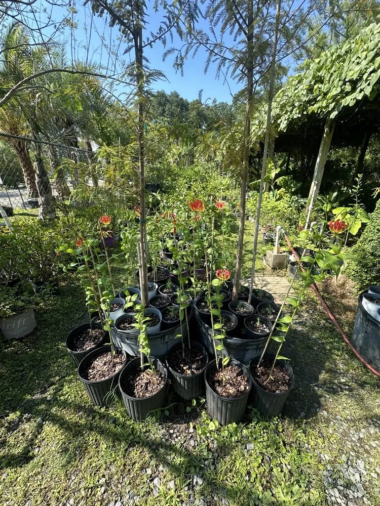 Expert yard maintenance experts serving Baton Rouge, LA - Nature's Own Nursery