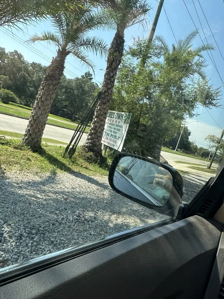 Custom landscape installation for beautiful yards in Baton Rouge, LA by Nature's Own Nursery