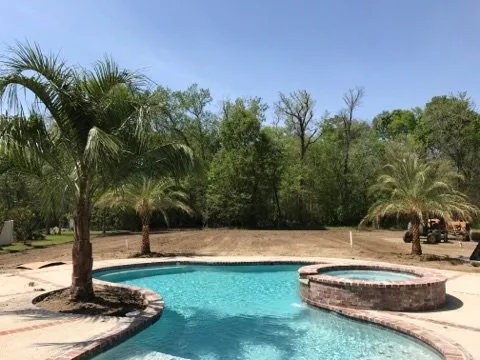 Trusted yard cleanup service in Baton Rouge, LA - Nature's Own Nursery