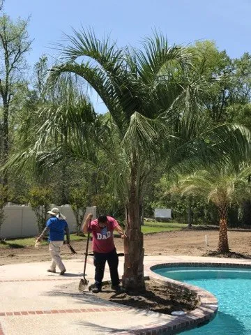 Affordable lawn mowing service for residential properties across Baton Rouge, LA - Nature's Own Nursery