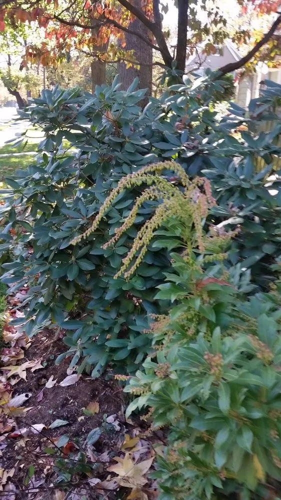 Expert outdoor landscaping for residential properties in Scotch Plains, NJ by Nature's Own