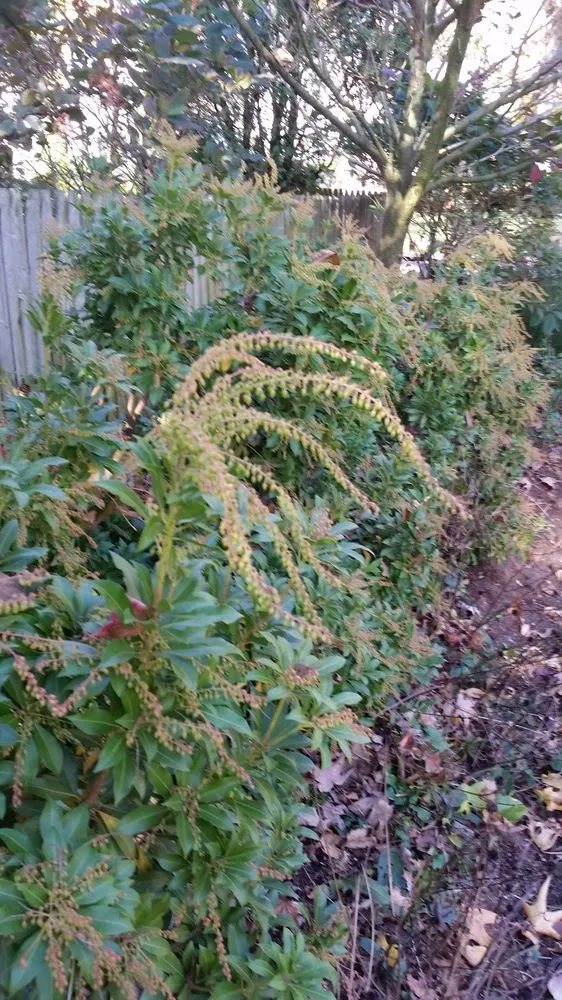 Custom lawn mowing service in Scotch Plains, NJ by Nature's Own