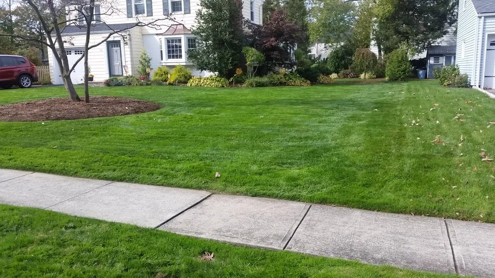 Affordable landscaping services for residential properties across Scotch Plains, NJ - Nature's Own