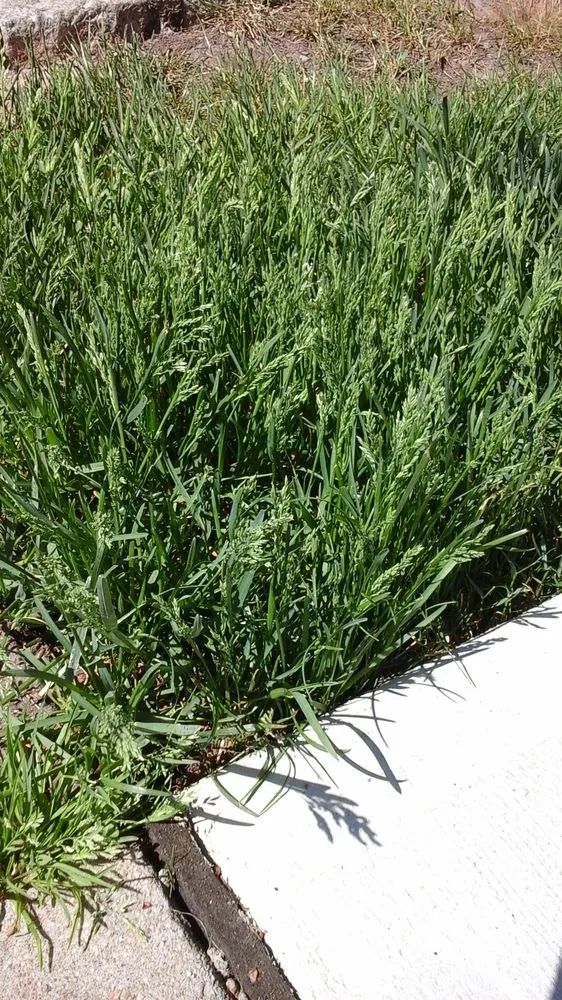 Expert outdoor landscaping in Scotch Plains, NJ - Nature's Own