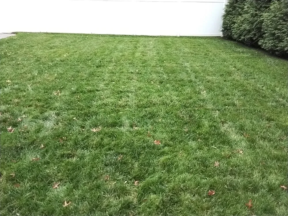 Professional outdoor landscaping in Scotch Plains, NJ - Nature's Own