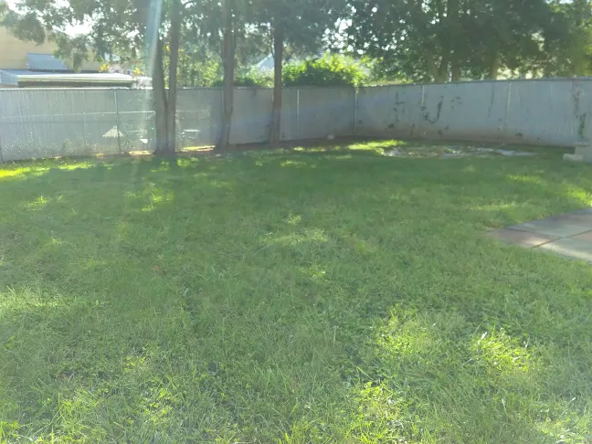 Top-rated yard cleanup service in Scotch Plains, NJ - Nature's Own