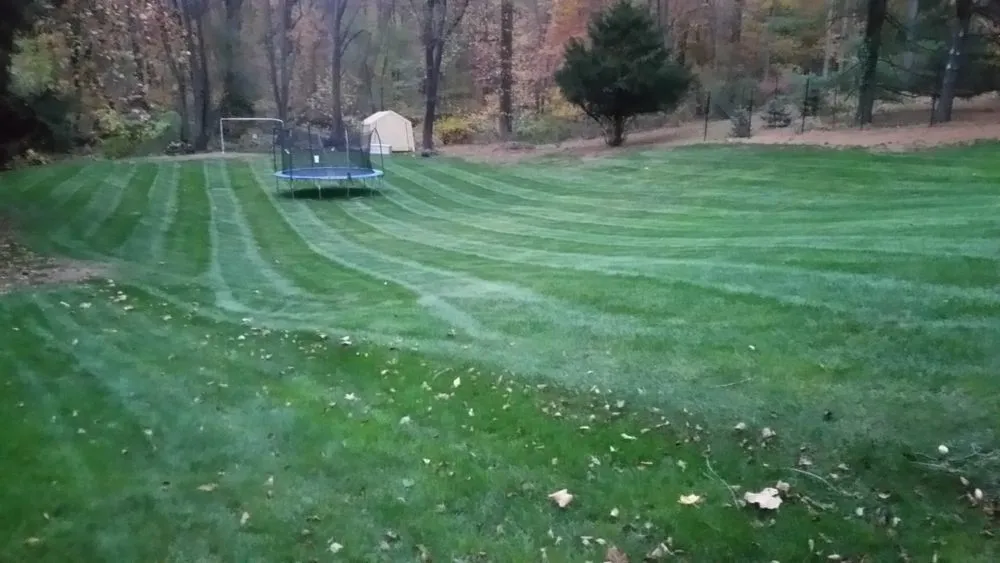 Expert landscaping services for beautiful yards across Scotch Plains, NJ - Nature's Own