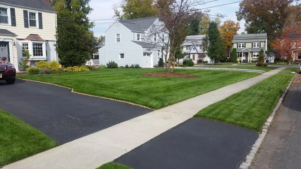 Custom yard cleanup service in Scotch Plains, NJ by Nature's Own