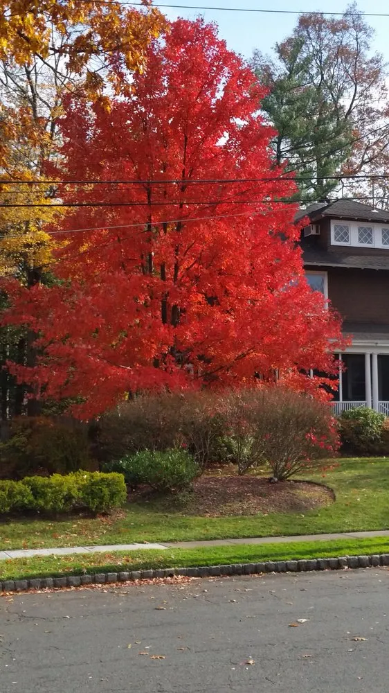 Local residential landscaping experts serving Scotch Plains, NJ - Nature's Own