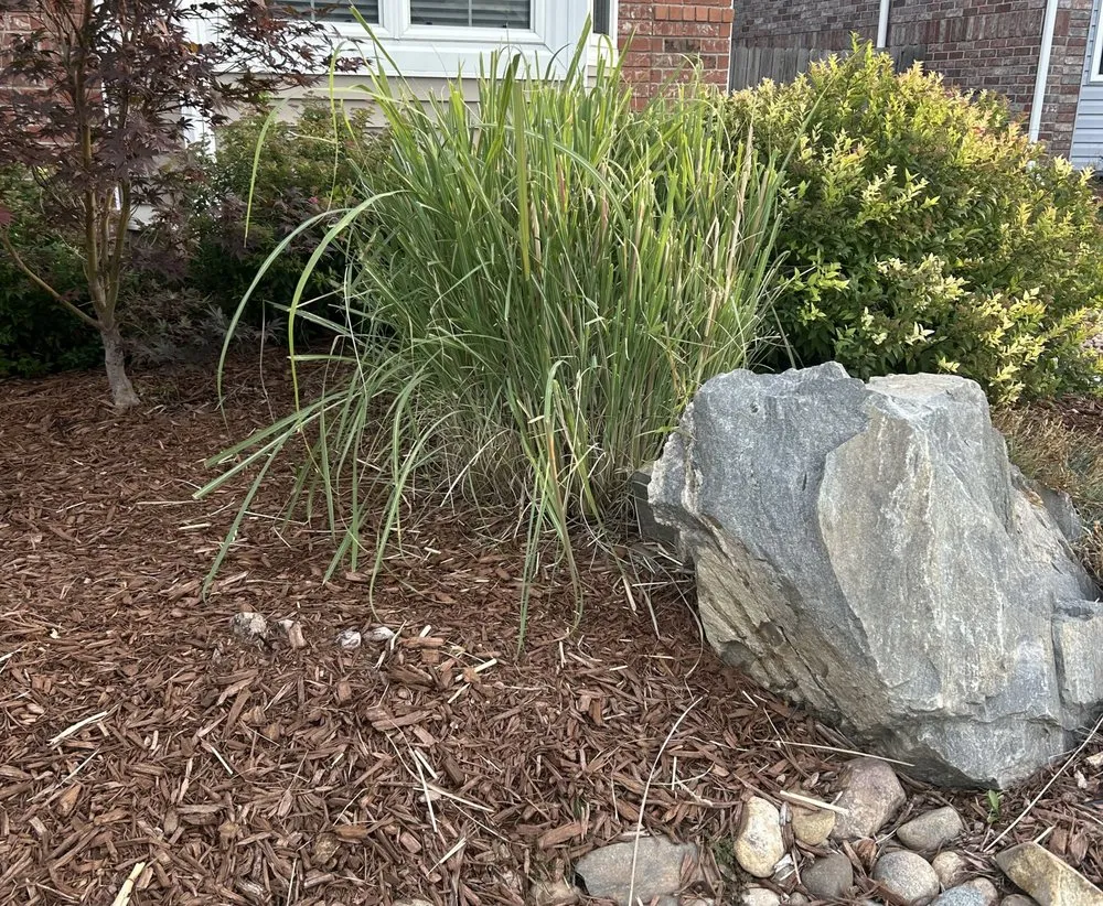 Custom landscape design in Longmont, CO by Natures Palette