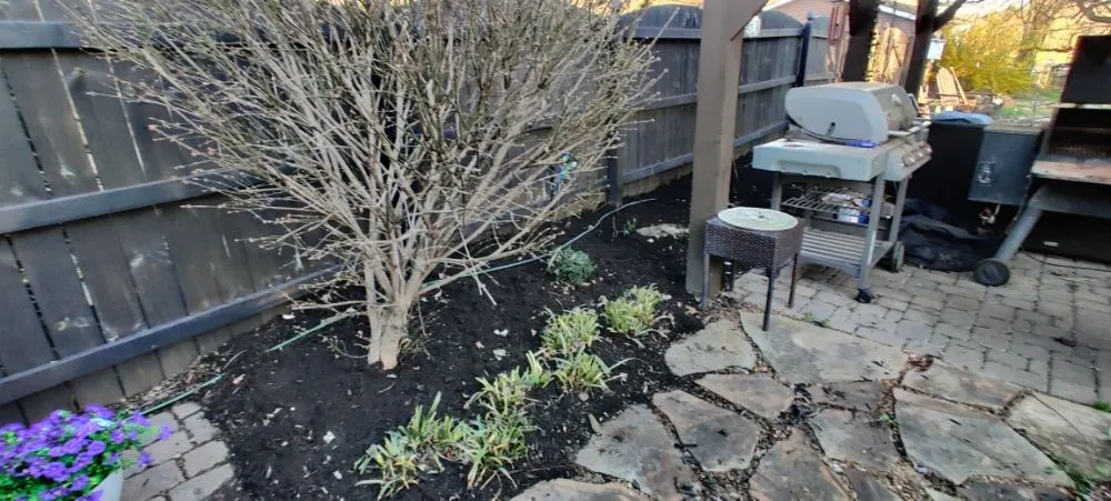 Professional lawn mowing service for year-round maintenance across Knoxville, TN - Nature's Path Lawn Care