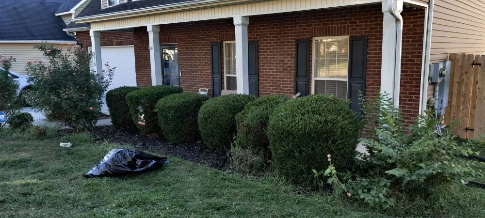 Professional lawn care service near you across Knoxville, TN - Nature's Path Lawn Care