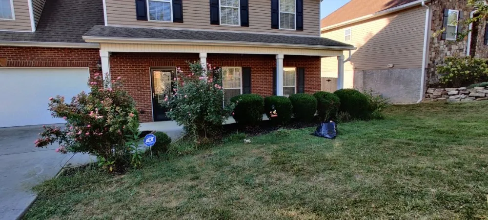 Reliable yard cleanup service in Knoxville, TN - Nature's Path Lawn Care