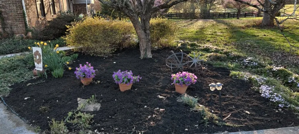 Affordable yard cleanup service in Knoxville, TN - Nature's Path Lawn Care