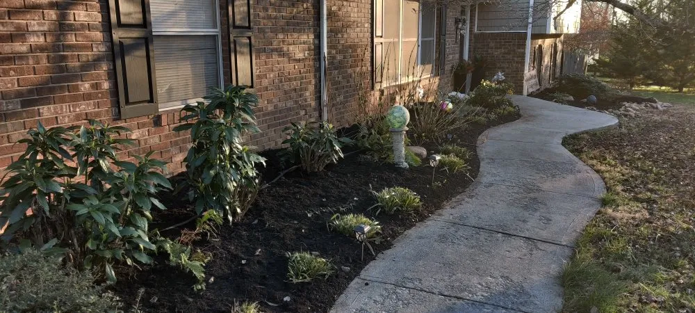 Professional lawn care service in Knoxville, TN by Nature's Path Lawn Care