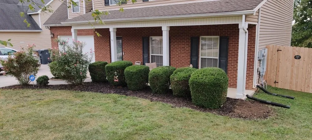 Custom residential landscaping in Knoxville, TN - Nature's Path Lawn Care
