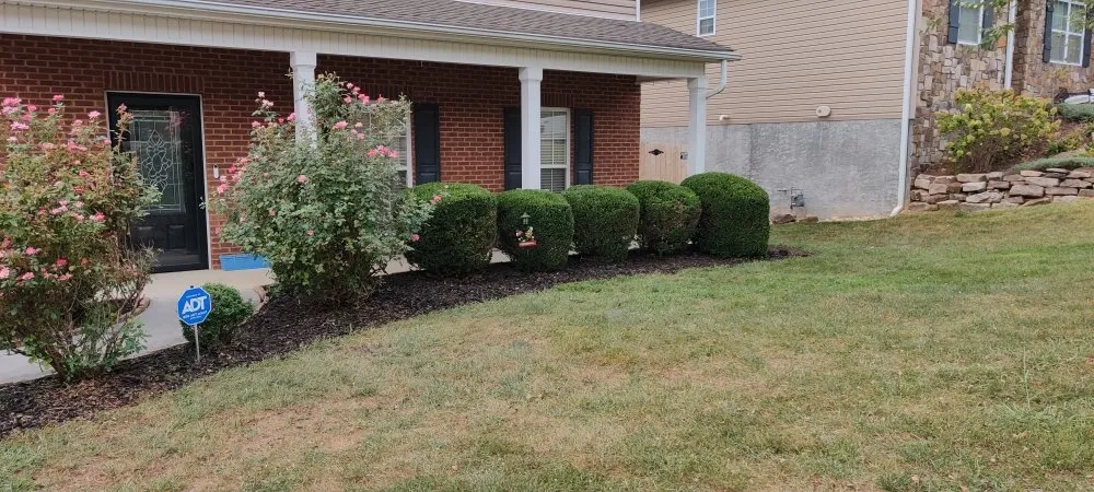 Custom outdoor landscaping for beautiful yards across Knoxville, TN - Nature's Path Lawn Care