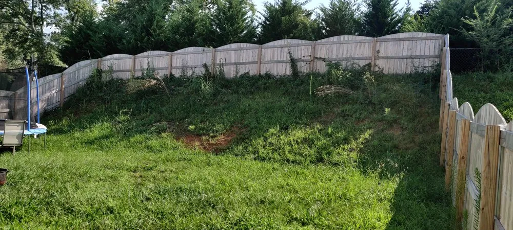 Affordable lawn care service in Knoxville, TN - Nature's Path Lawn Care