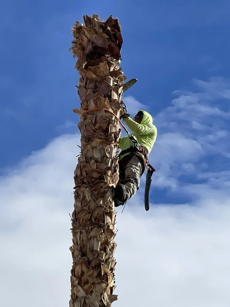 Affordable lawn mowing service for residential properties across Las Vegas, NV - Natures Personal Landscaping