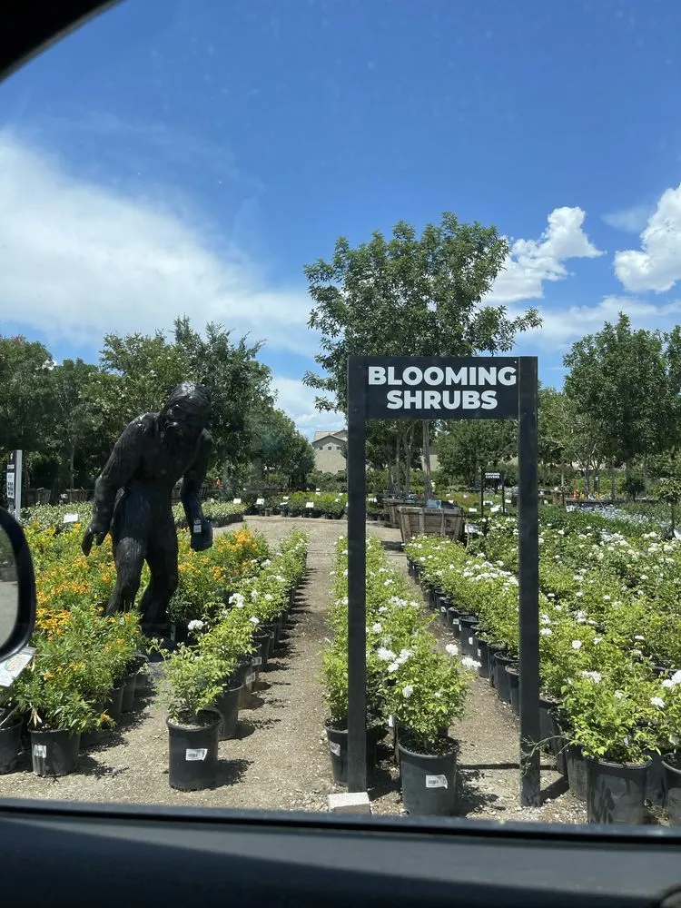 Top-rated landscape design in Las Vegas, NV - Natures Personal Landscaping