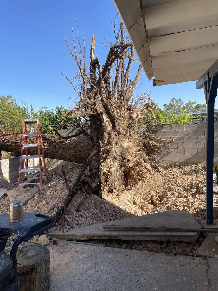 Professional landscape design for residential properties in Las Vegas, NV by Natures Personal Landscaping