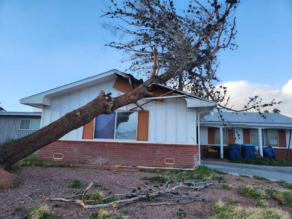 Top-rated lawn mowing service in Las Vegas, NV - Natures Personal Landscaping