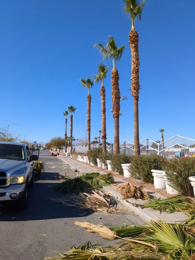 Affordable landscape installation for outdoor upgrades across Las Vegas, NV - Natures Personal Landscaping