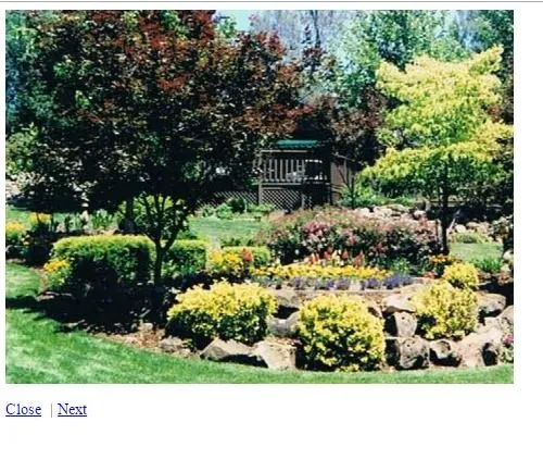Local lawn care service in Redding, CA - Nature's Plan