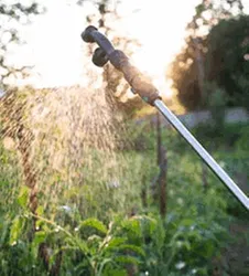 Trusted landscaping services with custom design across Yonkers, NY - Nature's Rain Organic Lawn Care