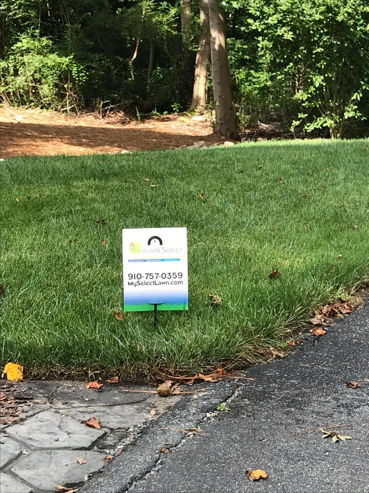 Expert yard cleanup service in Aberdeen, NC - Nature's Select®