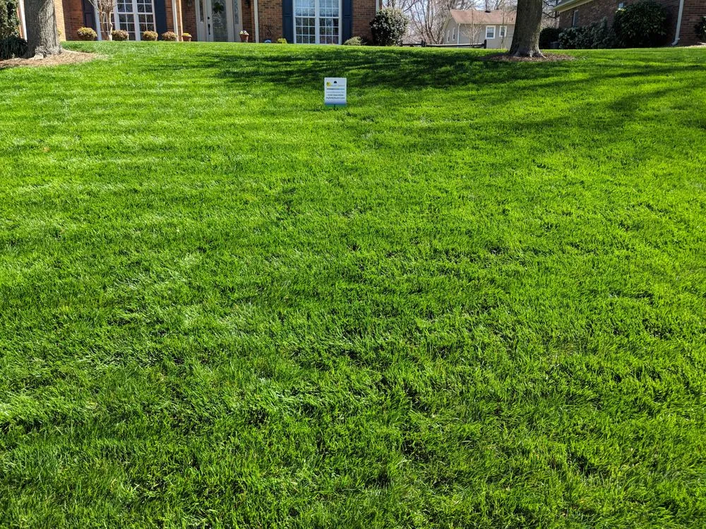 Expert yard maintenance experts serving Chapel Hill, NC - Nature's Select®