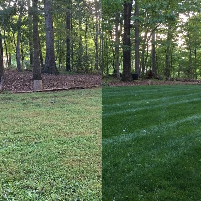 Trusted outdoor landscaping experts serving Chapel Hill, NC - Nature's Select®