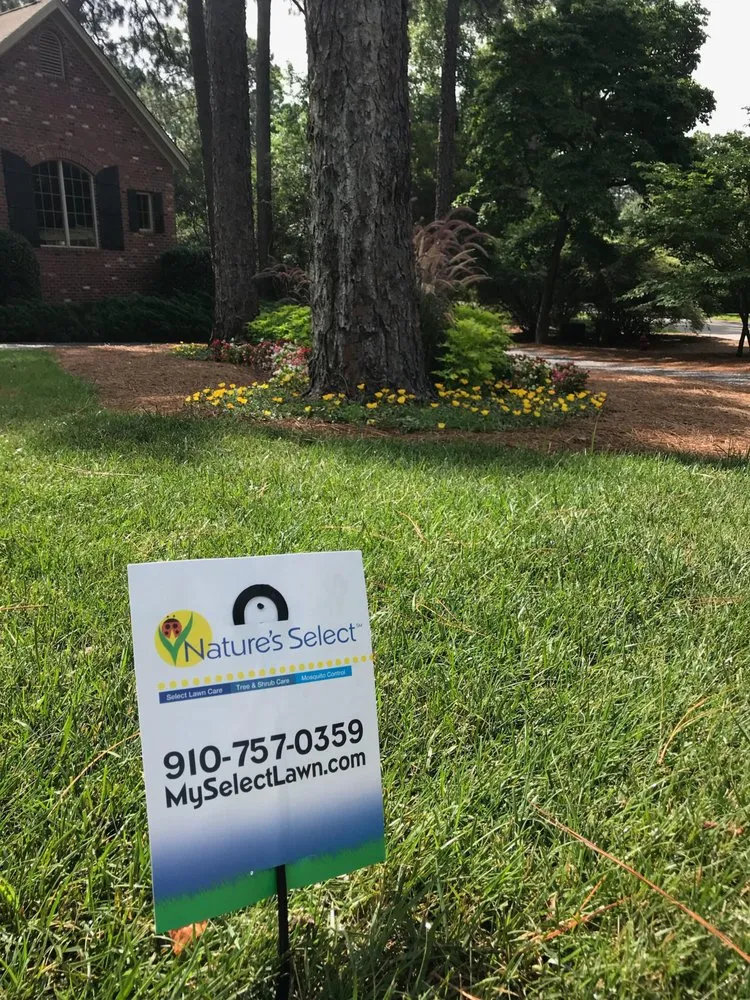 Affordable landscape design experts serving Chapel Hill, NC - Nature's Select®