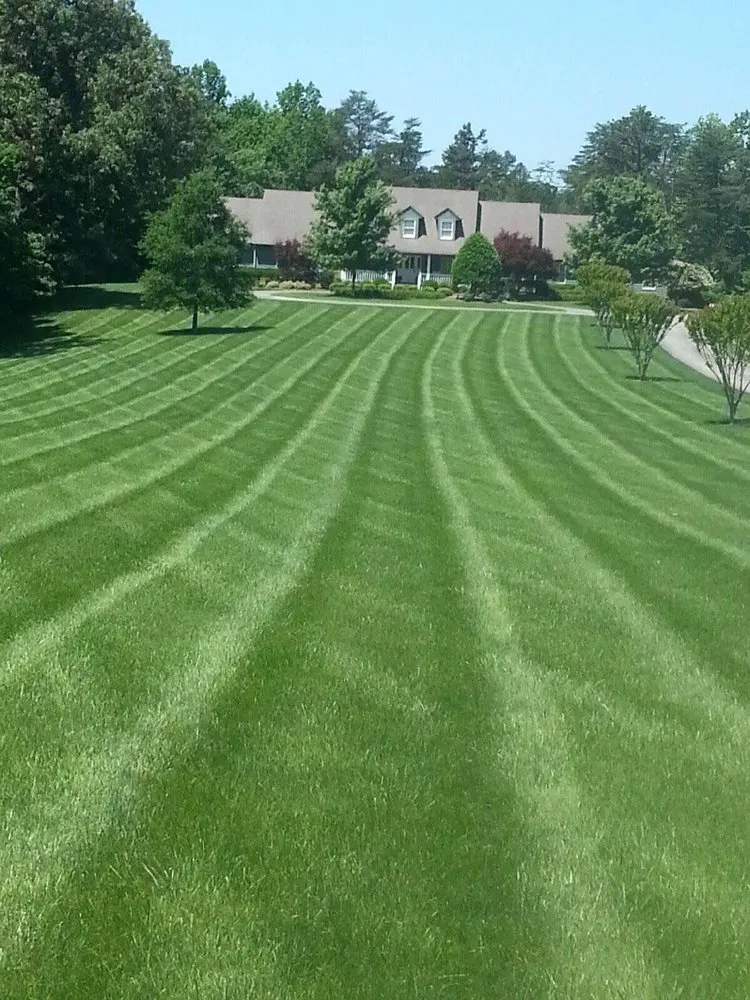 Affordable garden landscaping in Greensboro, NC - Nature's Select®