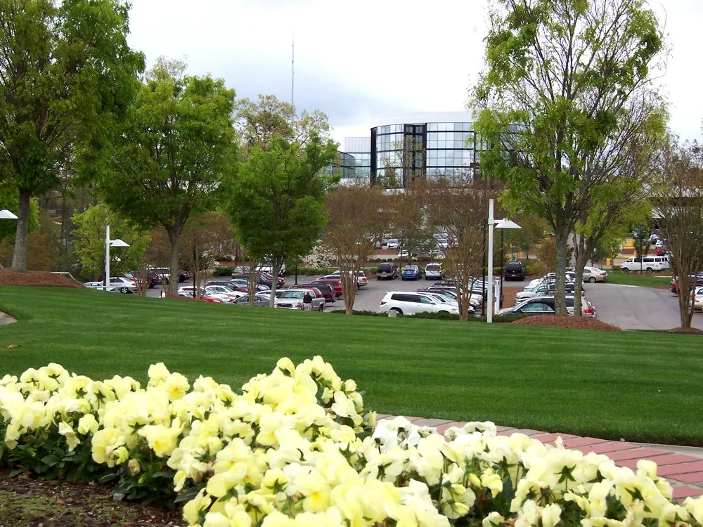 Affordable landscape design experts serving Greensboro, NC - Nature's Select®