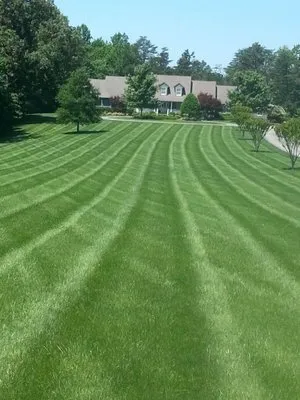 Nature's Select® Logo