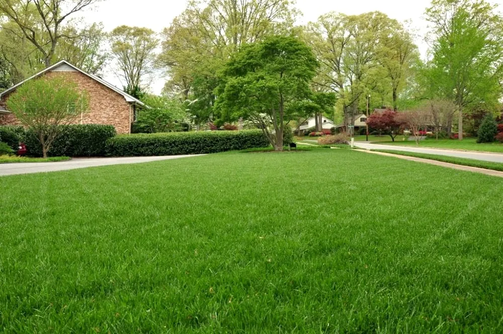 Custom landscape design experts serving Winston-salem, NC - Nature's Select®