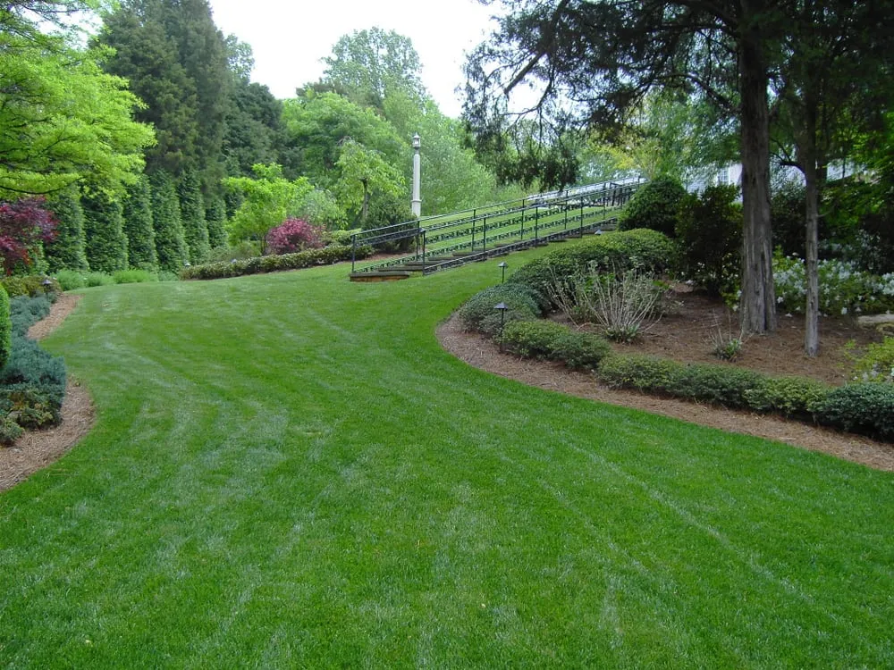 Top-rated lawn care service experts serving Winston-salem, NC - Nature's Select®